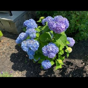 Meet your Posher, Renee